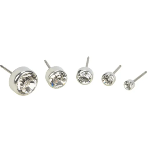 Blomdahl - Örhängen Bezel Titan Silver Klar