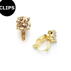 Mariell - Örhängen CLIPS Pave Mix
