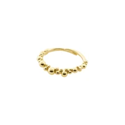 Pilgrim - Ring Solidarity Guld