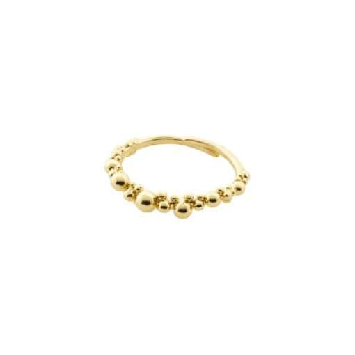 Pilgrim - Ring Solidarity Guld